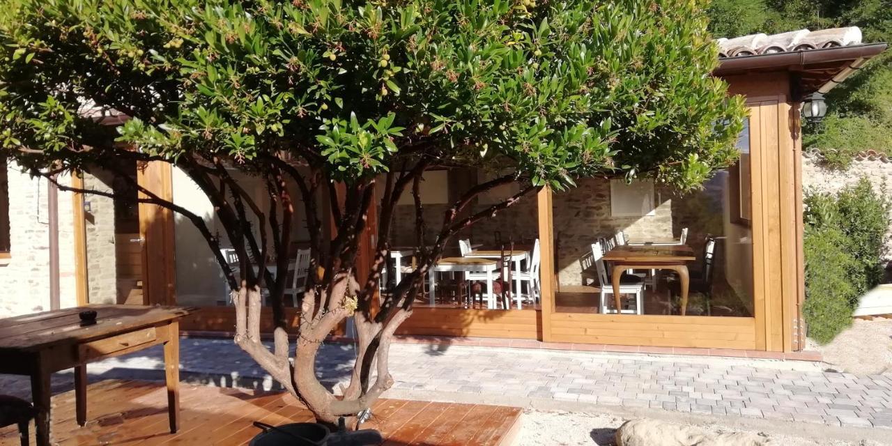 Pensjonat Country House Ca' Vernaccia Urbino Zewnętrze zdjęcie