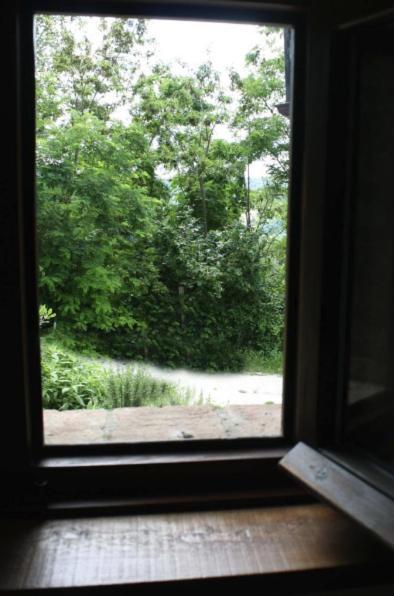 Pensjonat Country House Ca' Vernaccia Urbino Zewnętrze zdjęcie