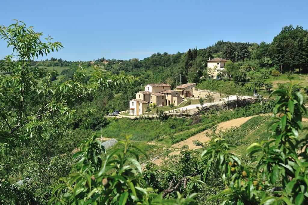 Pensjonat Country House Ca' Vernaccia Urbino Zewnętrze zdjęcie