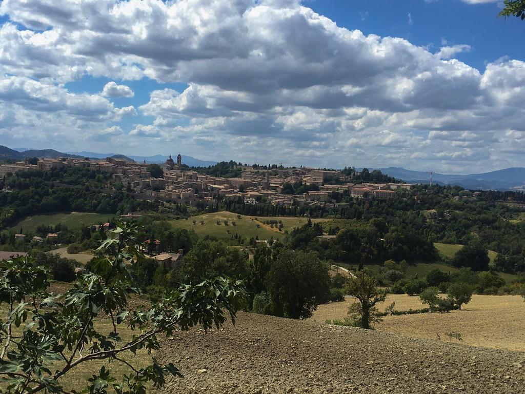 Pensjonat Country House Ca' Vernaccia Urbino Zewnętrze zdjęcie